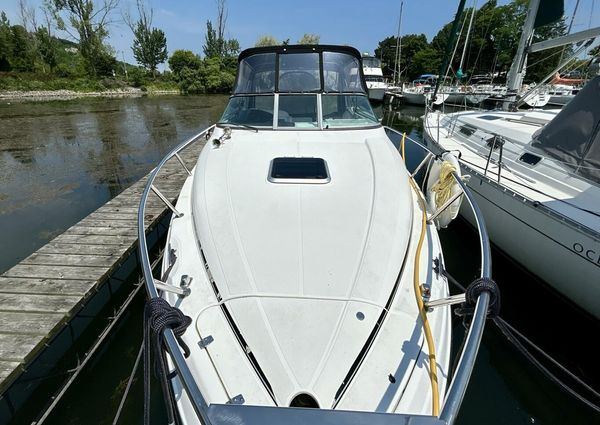 Rinker 260 Express Cruiser image