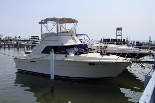 Silverton 31 Convertible image