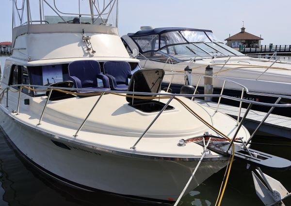 Silverton 31-CONVERTIBLE image