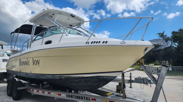 Robalo R265 Walkaround