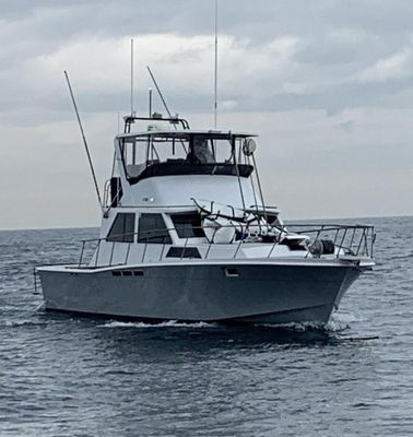 Uniflite 42' Sportfisher - main image