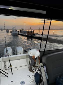 Boston Whaler 315 Conquest image