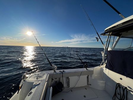 Boston Whaler 315 Conquest image