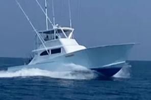 Custom Carolina Sportfish image