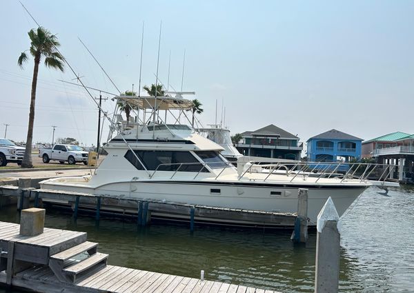 Hatteras 45 Convertible image