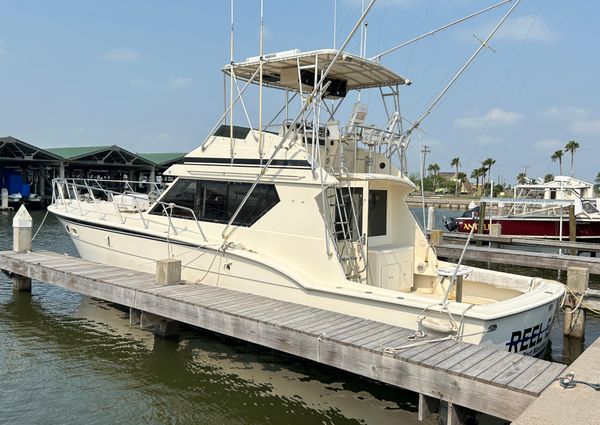 Hatteras 45 Convertible image