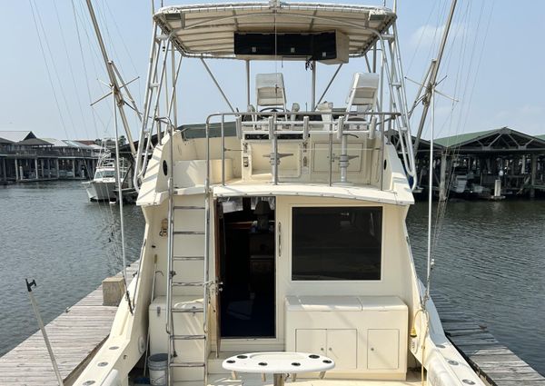 Hatteras 45 Convertible image