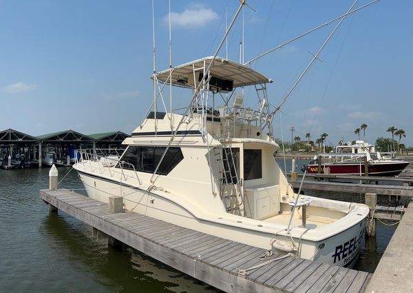 Hatteras 45 Convertible image