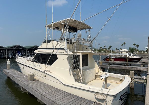 Hatteras 45 Convertible image