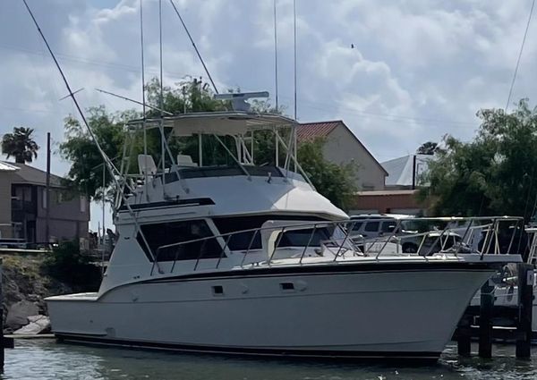 Hatteras 45 Convertible image