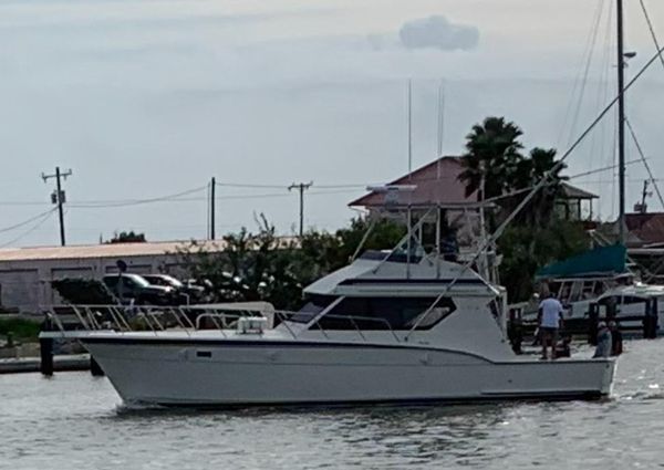 Hatteras 45 Convertible image