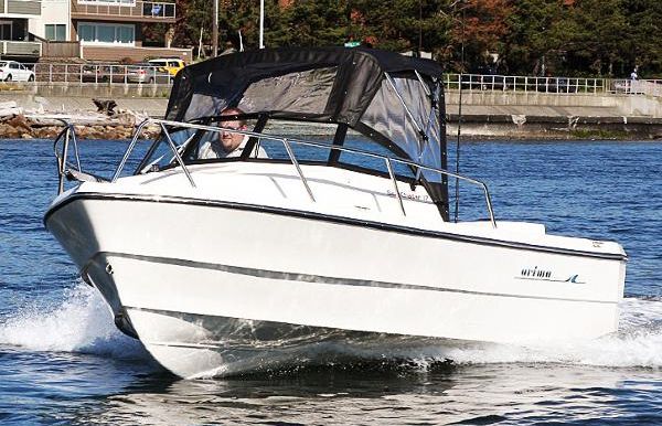 2023 Arima Sea Chaser 17