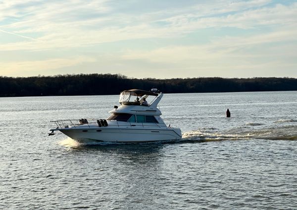 Sea-ray 370-SEDAN-BRIDGE image