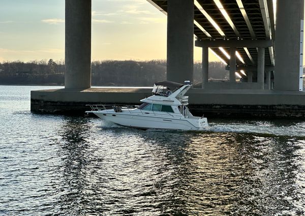 Sea-ray 370-SEDAN-BRIDGE image