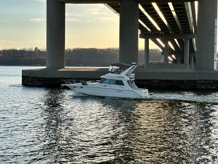 Sea-ray 370-SEDAN-BRIDGE image