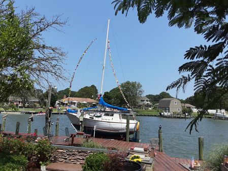 Custom 21 Motor Sailer image