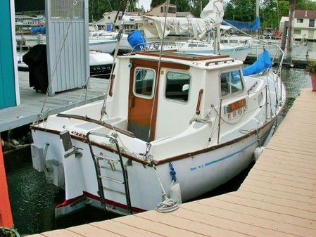 Custom 21 Motor Sailer image