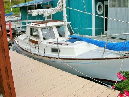 Custom 21 Motor Sailer image