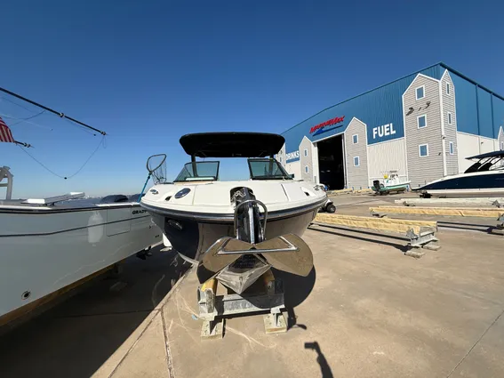 Sea-ray SLX-260-OUTBOARD image