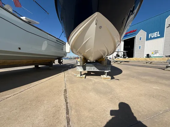 Sea-ray SLX-260-OUTBOARD image