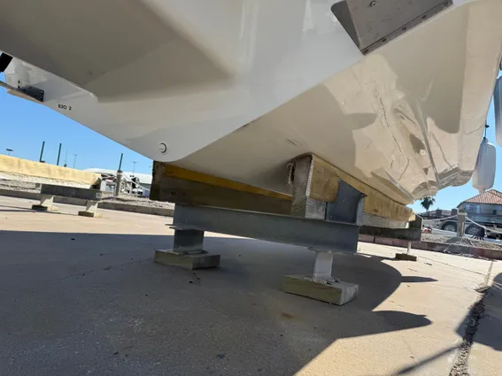 Sea-ray SLX-260-OUTBOARD image