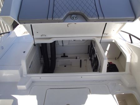 Bayliner D20 image