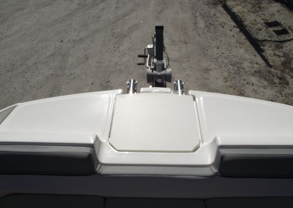 Bayliner D20 image