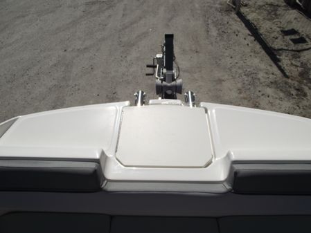 Bayliner D20 image