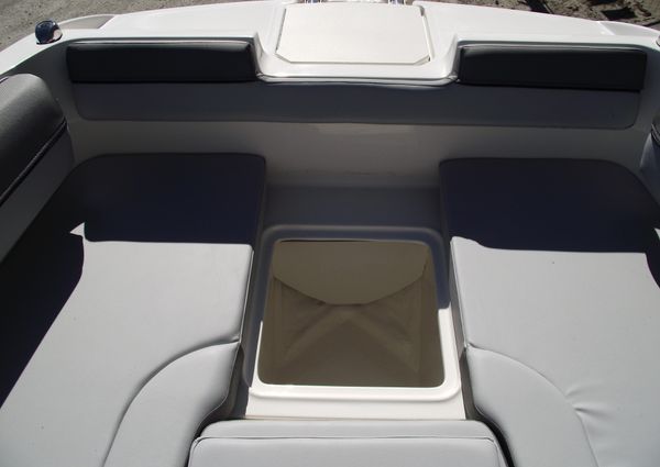 Bayliner D20 image