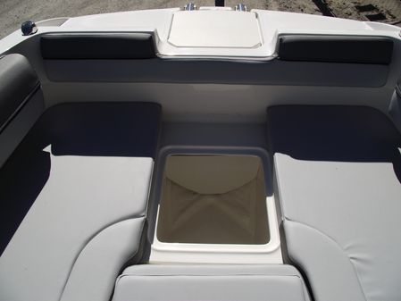 Bayliner D20 image