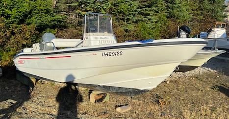 Boston Whaler 16 Dauntless 