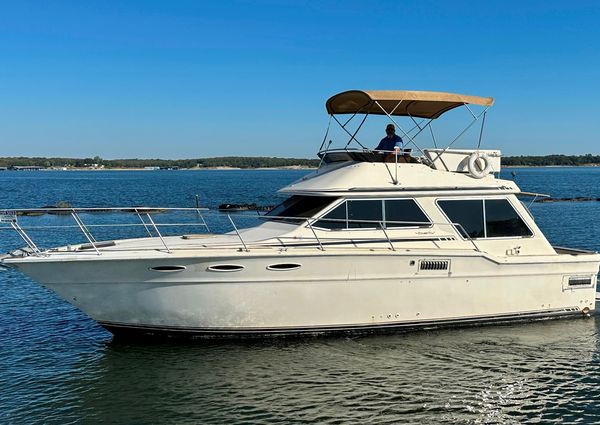 Sea-ray 355T-TRAWLER image