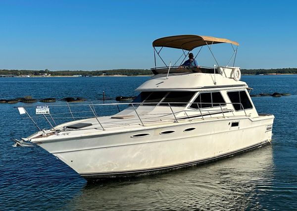 Sea-ray 355T-TRAWLER image