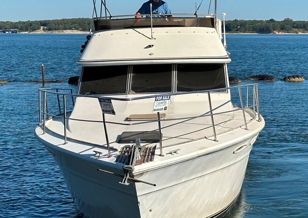 Sea-ray 355T-TRAWLER image