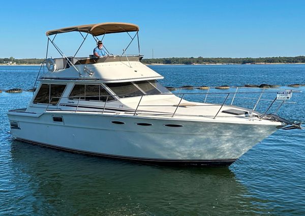 Sea-ray 355T-TRAWLER image