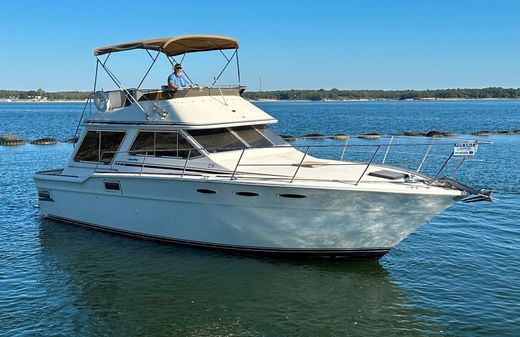 Sea-ray 355T-TRAWLER image