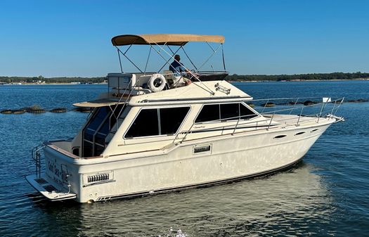 Sea-ray 355T-TRAWLER image