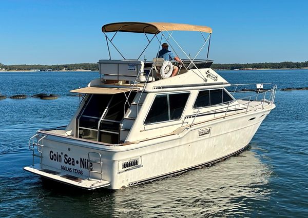 Sea-ray 355T-TRAWLER image