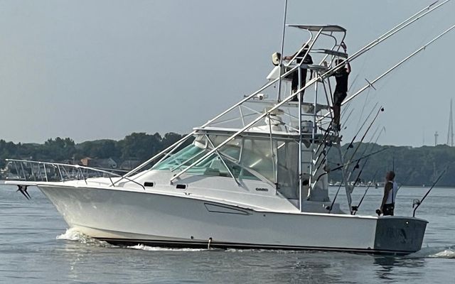 Luhrs 36-SX - main image