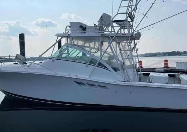 Luhrs 36-SX image