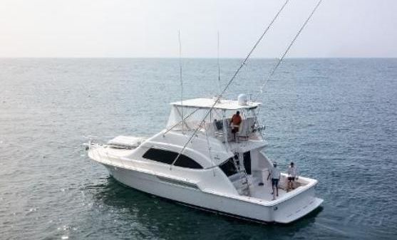 Bertram Convertible