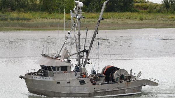 Commercial Shore Built Seiner