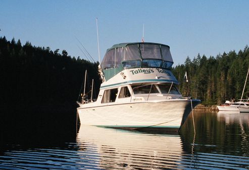 Tollycraft 26 Sedan image