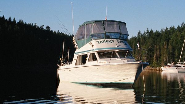 Tollycraft 26 Sedan