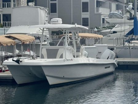 Twin Vee Catamaran image