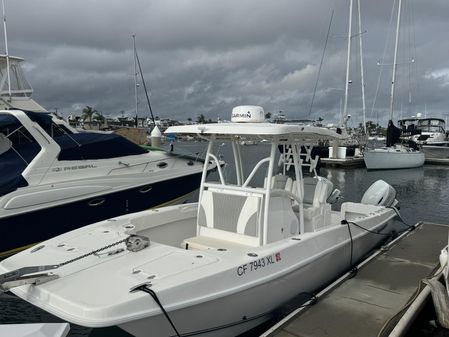 Twin Vee Catamaran image