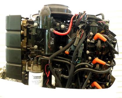 Evinrude 225hp Direct Injected Fully Dressed Powerhead image