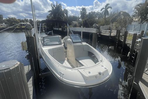 Sea Ray 230 SPX Outboard image