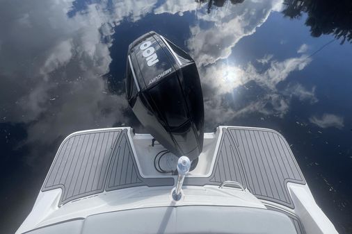 Sea Ray 230 SPX Outboard image