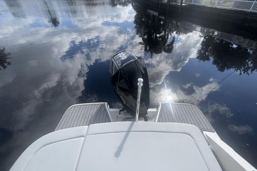 Sea Ray 230 SPX Outboard image